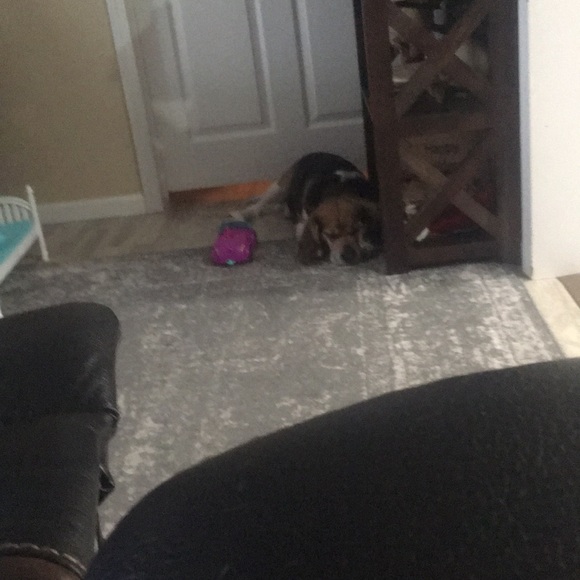 Meet your Posher, Craig - Picture 1 of 1